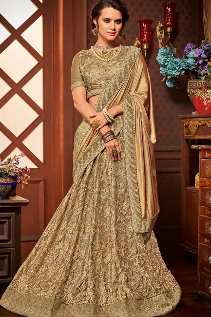 Delicate Golden & Beige color Imported Fancy Fabric & Net saree