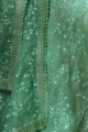 Alluring Mint green Silk Lehenga Choli