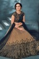 Beige Embroidered Party Lehenga Choli in Net