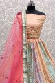 Designer Silk Lehnega Choli in Multicolor