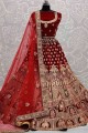 Red Lace Lehenga Choli in Velvet