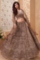 Embroidered Net Party Lehenga Choli in Brown