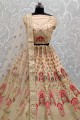 Silk Slub Wedding Lehenga Choli in Peach with Thread,Dori,Patch Embroidery,Diamond Work