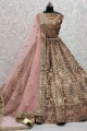Beige Wedding Lehenga Choli in Velvet with Thread,Sequance,Jari,Dori Embroidery Work