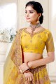 Yellow Wedding Lehenga Choli with Dori,Thread Embroidery,Diamond Work Net