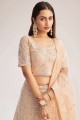 Peach Party Lehenga Choli in Net with Embroidered