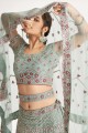 Embroidered Net Party Lehenga Choli in Pista