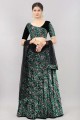 Green Lehenga Choli in Embroidered Velvet