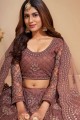 Brown Wedding Lehenga Choli in Net with Embroidered