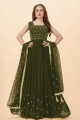 Mehndi Embroidered Georgette Gown Dress