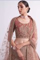 Embroidered Bridal Lehenga Choli in Shaded rust  Silk