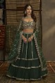 Green Party lehenga choli in Soft net with Embroidered