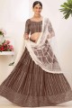 Caramel  Party Lehenga Choli with Embroidered Georgette