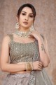 Lehenga Choli in Silver Net with Embroidered