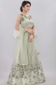Lehenga Choli in Olive  Net with Embroidered