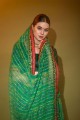 Printed,lace Georgette Saree in Green