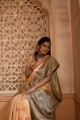 Chiku  Weaving Saree in Raw silk