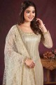 Beige  Straight Pant Suit in Net with Embroidered