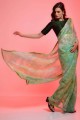Pista Chiffon Saree with Embroidered,printed