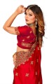 Red Wedding Saree in Zari,embroidered,lace border Satin