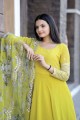 Yellow Gown Dress in Embroidered Georgette