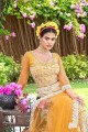 Wedding Lehenga Choli in Yellow Net with Embroidered