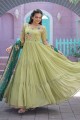 Embroidered Gown Dress in Pista green Faux georgette