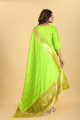 Silk Printed Light green Salwar Kameez with Dupatta